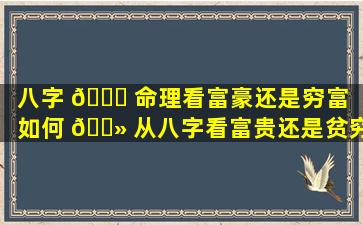 八字 🐎 命理看富豪还是穷富「如何 🌻 从八字看富贵还是贫穷」